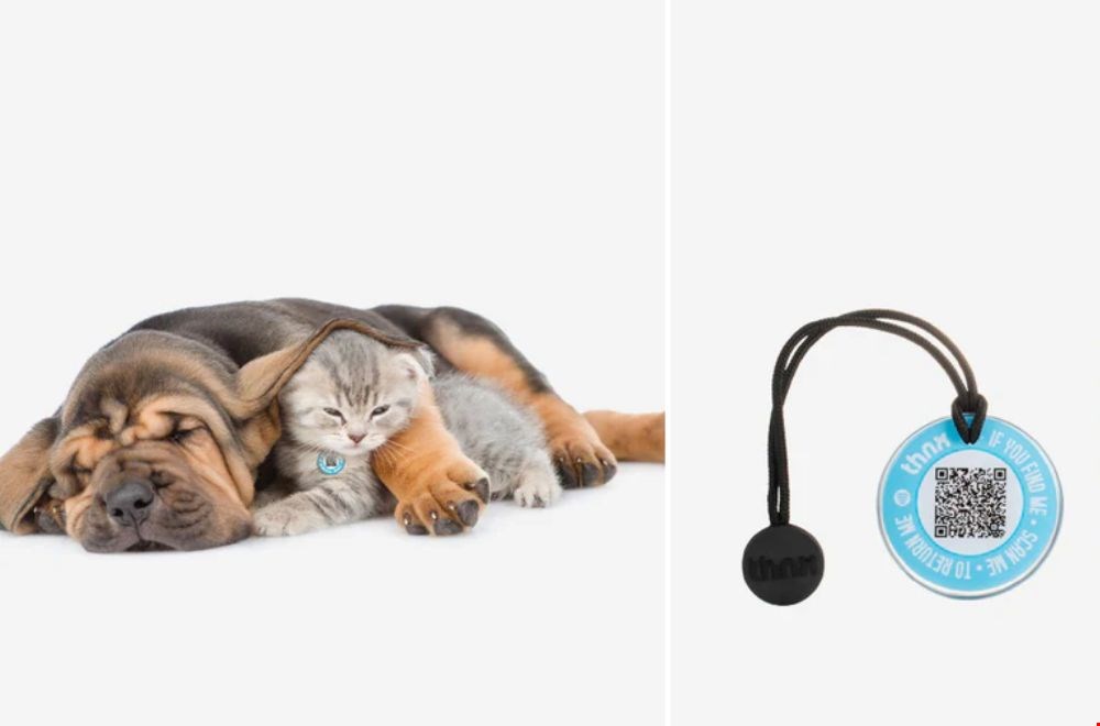 Niets meer kwijtraken Niets meer kwijtraken